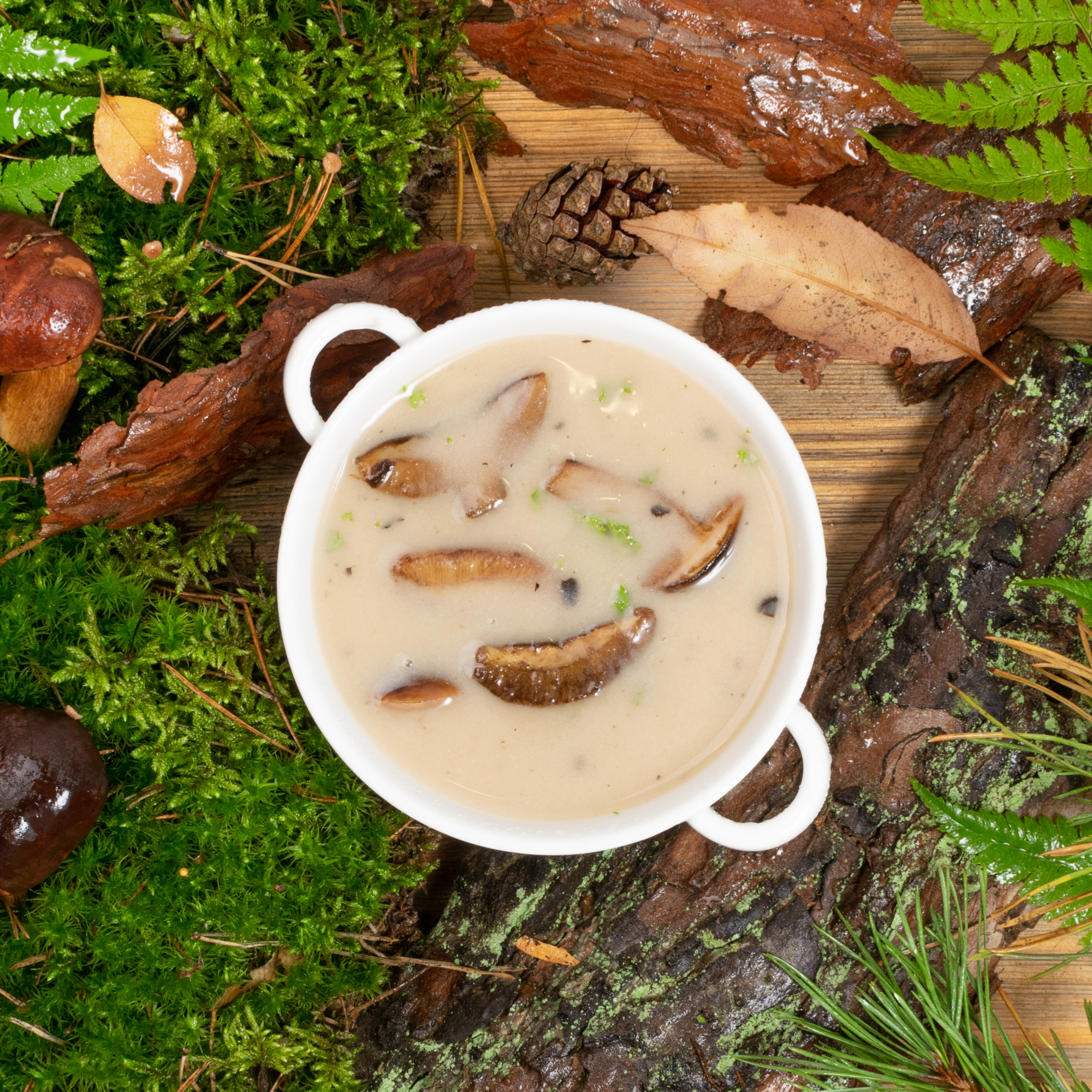 Porcini and hazelnut velouté sauce